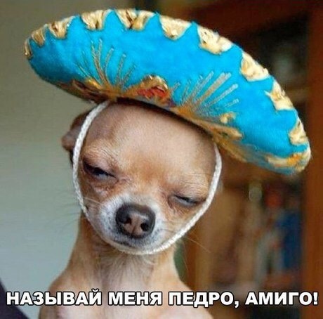 Испания даёт гражданство обладателям некоторых фамилий