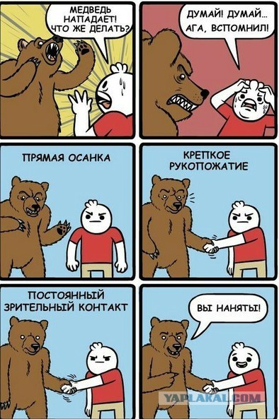 Если на вас напал медведь