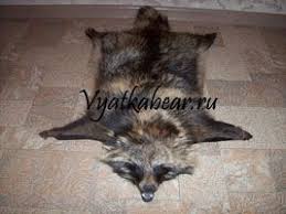 Девчонки вы вообще влюбляетесь ?
