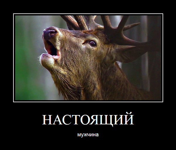 10 правил для мужчин - как грамотно вести себя, если жена подала на развод