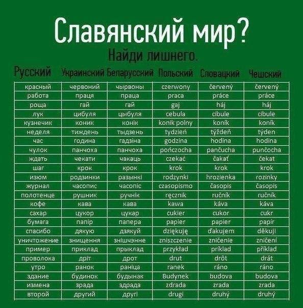 На Бранденбургских воротах высветили слово «спасибо» на русском, белорусском и еще нескольких языках