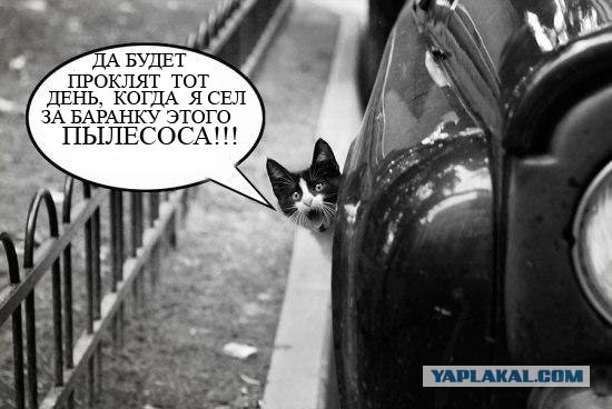 Фотожаба: Кот