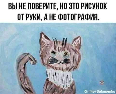 Картинки на котовторник 1.09.20