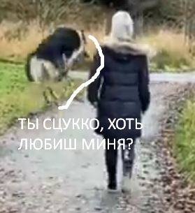 Прыгуны и скакуны