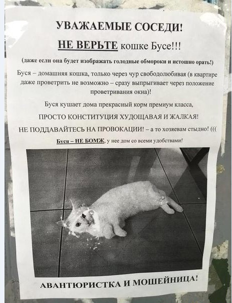 Картинки и мемы для настроения 027