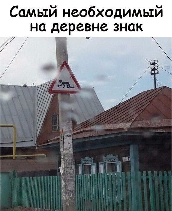 Боянистые картинки 21.12.20