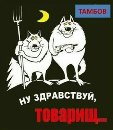 Кучка картинок из недр интернета