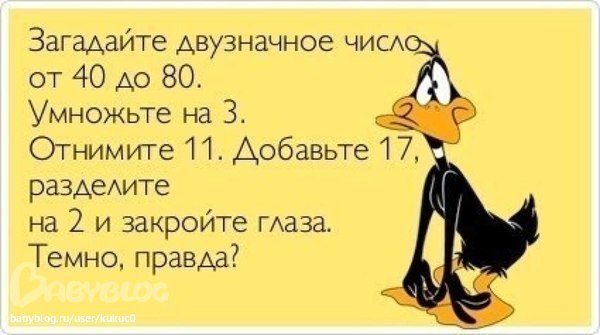 15126624.jpg