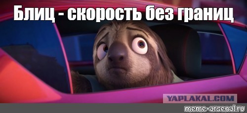Ленивец кайфует от воды