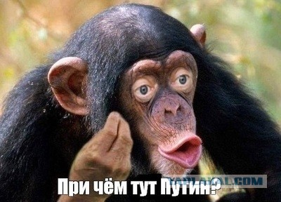 Польская спортсменка убрала свой флаг в знак солидарности