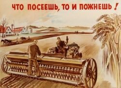 Как СССР стал покупать пшеницу за границей в 1963 — 1970 гг.