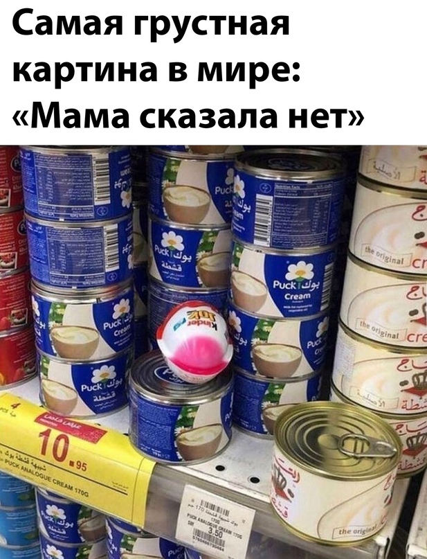 Весёлый полтишок 8.06.21