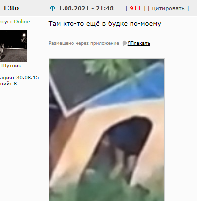 В центре Томска мужчина содрал с двух привязанных девушек штаны и высек их веником из колючей крапивы