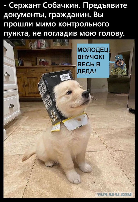 Картинки и мемы для настроения 19.08.2021