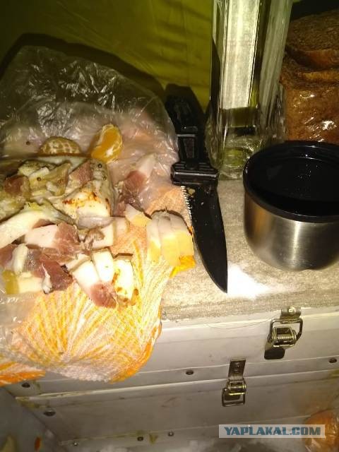 Подмосковный джамаат