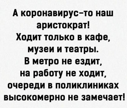 В Петербурге с 1 ноября вводятся QR-коды для посещения мероприятий и общественных мест