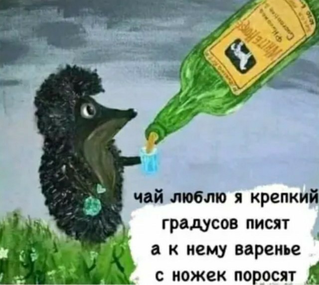Алкопост 26.11.21