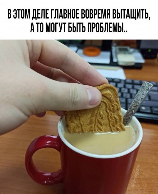 Есть два типа девушек и другие картинки 20.12.21