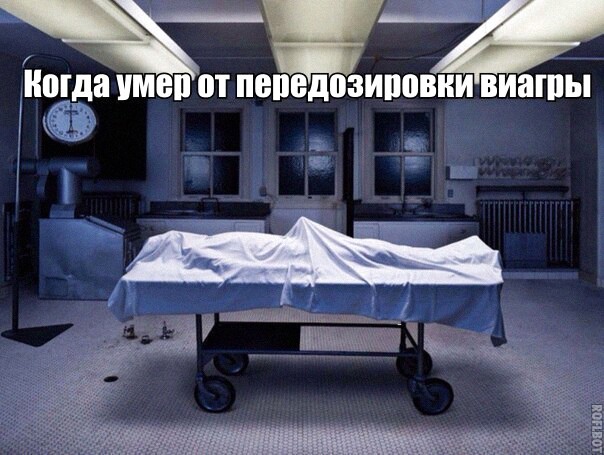 Так себе картинки 22.12.21