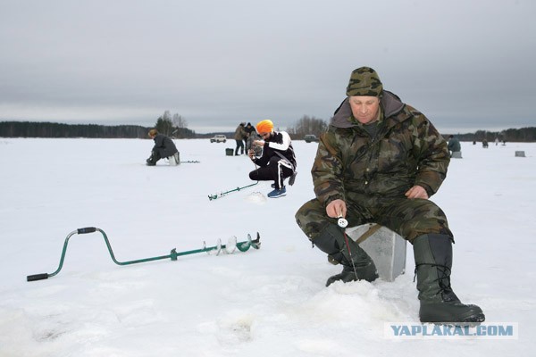 Пожабим индуса?