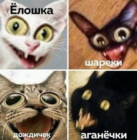 Моя национальная новогодняя песенка.