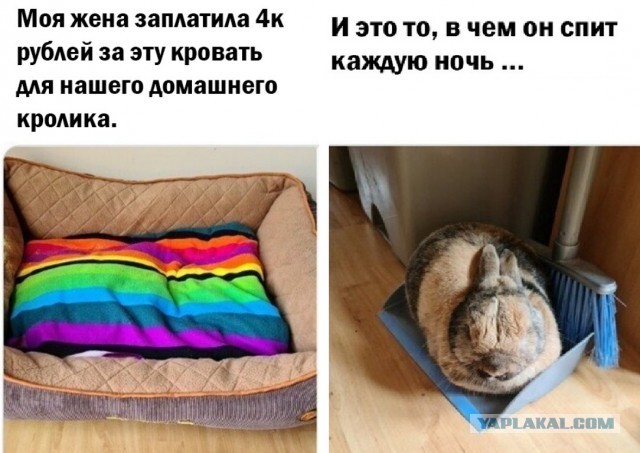Картинки и мемы, всем прекрасных выходных