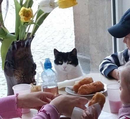 В Петербурге скончалась хозяйка культовой пирожковой