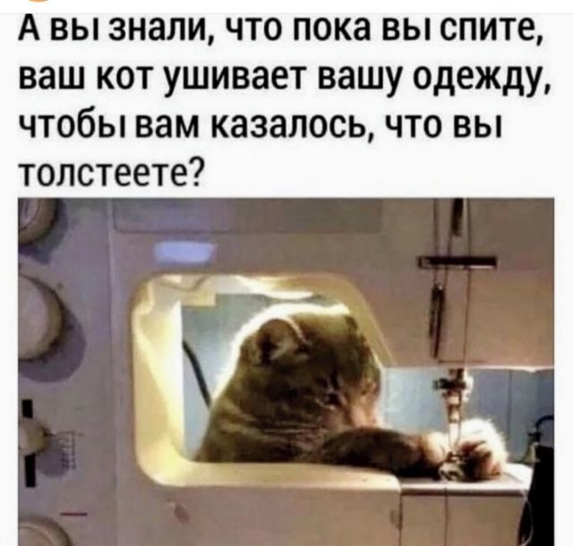 Картинки и буквы 15.07.22
