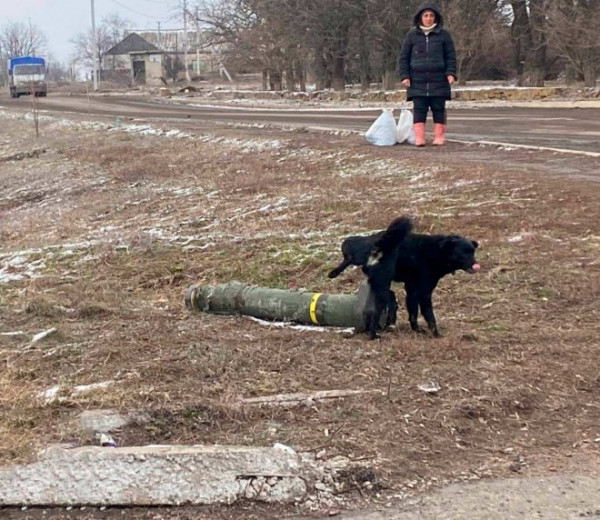 Так себе картинки 19.03.22