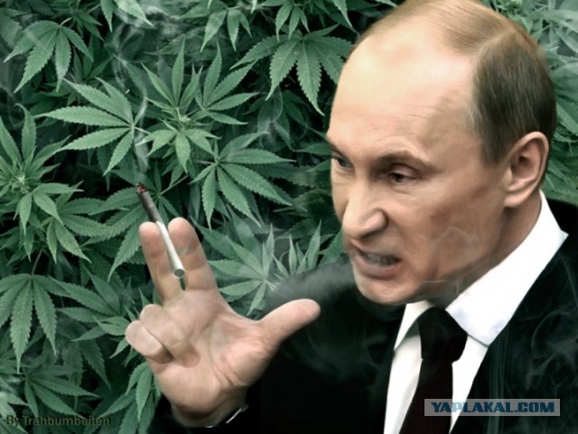 О бумаге