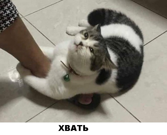 40 пятничных картинок разных 27.05.2022