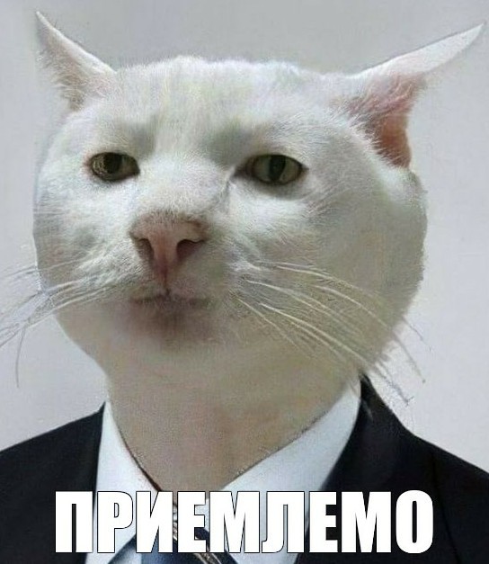 А ожидали ли вы, что звук мотоцикла без глушака способен доставить удовольствие?