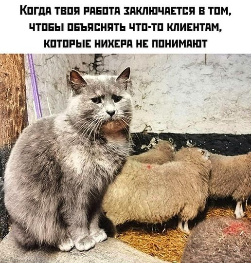 Так себе картинки 10.09.22