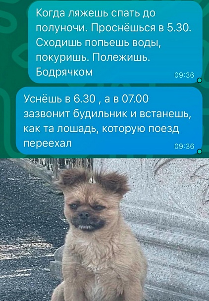 Картинки и мемы, всяко - 169
