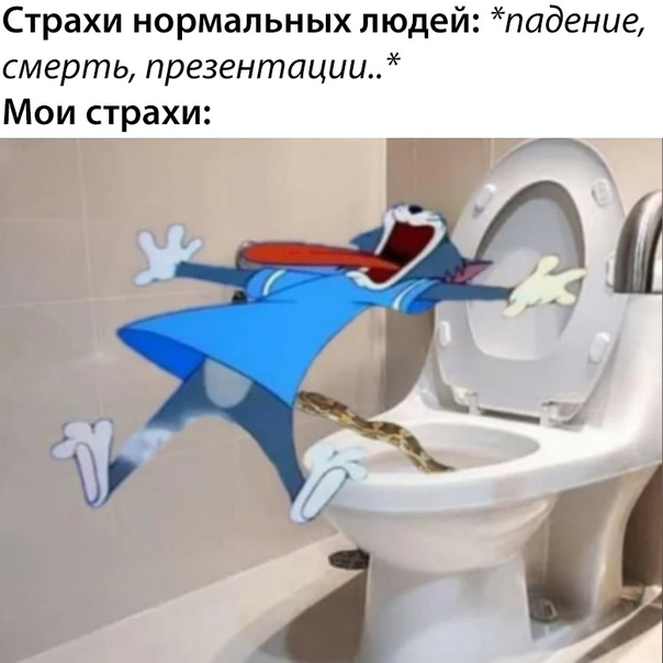 Весёлый полтишок 25.04.23