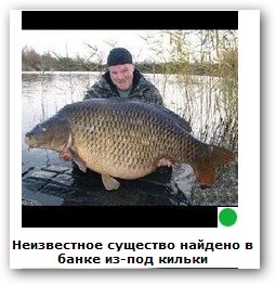 Автодемотиватор на ЯПе