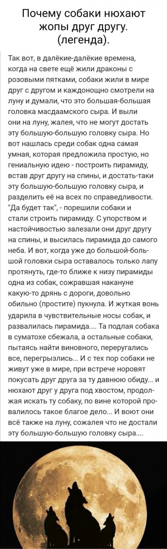 Никакие картинки и такие же тексты