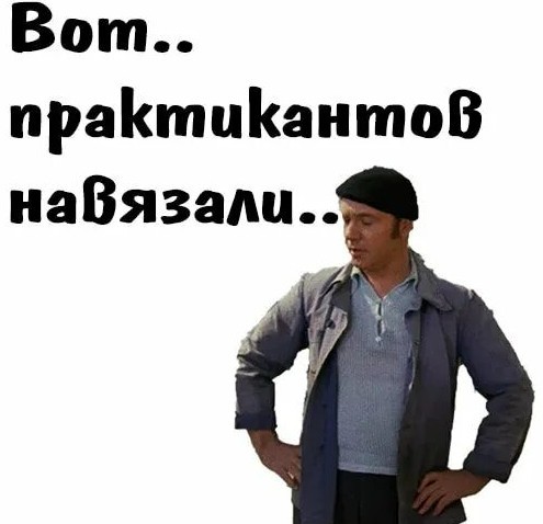 Прислали мужику в помощь парочку тугосерь из тамошнего ПТУ