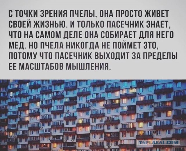 Ковид, Цифровая валюта и прочие радости. II
