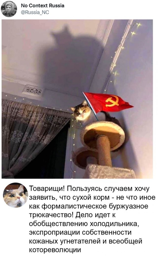 Так себе картинки 14.09.25