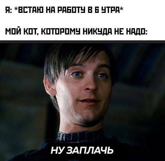 Веселое настроение в картинках (07.10.2025)
