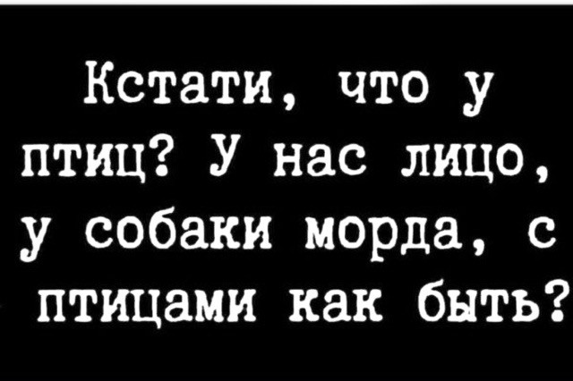 Субботние картинки