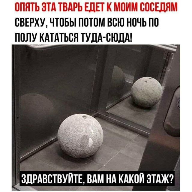 Картинки для деградации 176 (разной степени свежести)
