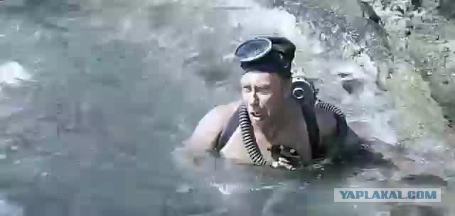 Яхта бывшего депутата Волгоградской городской думы Андрея Анненко затонула возле яхт-клуба в Волгограде