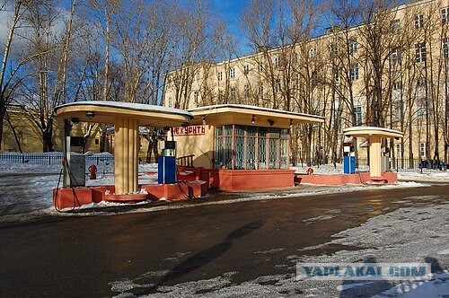 Паникёры.