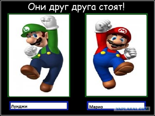 Они друг друга стоят!