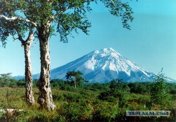 Моя Камчатка