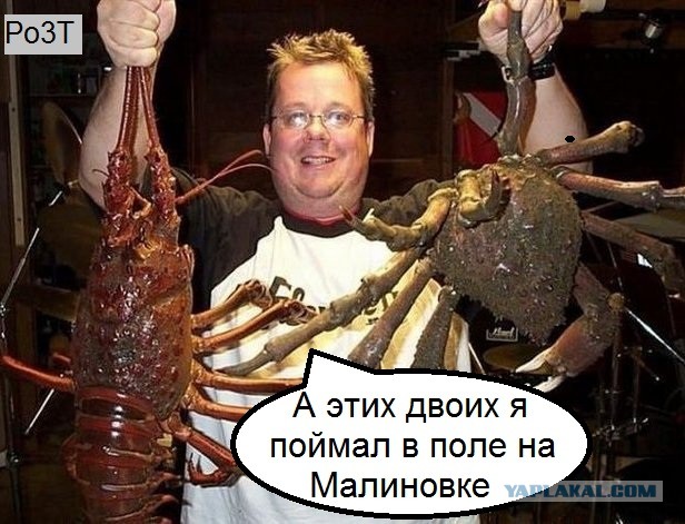 Wargaming 8