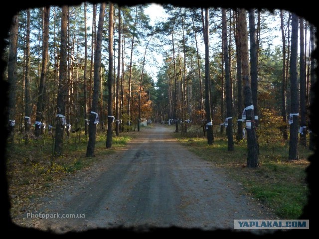 Памятник Сталину