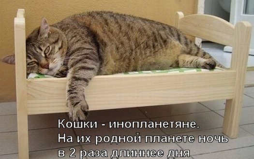 Человек не создан на Земле.